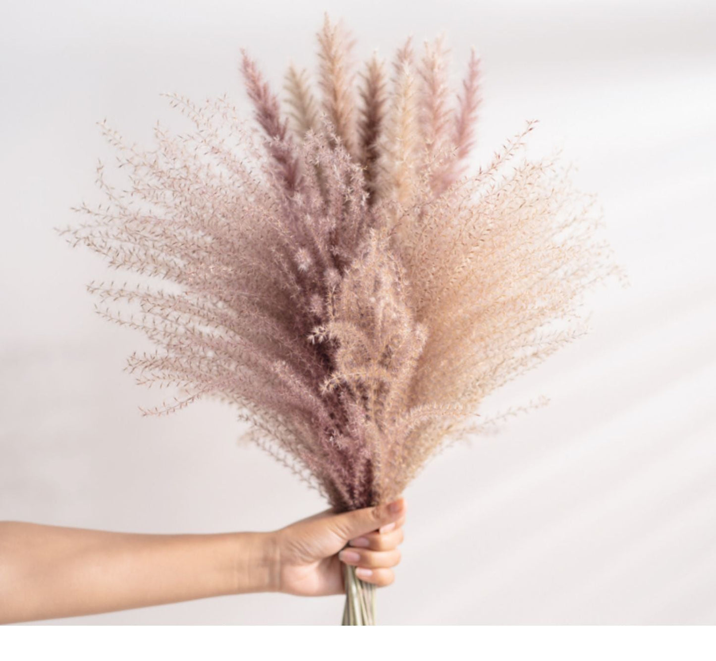 7stems 18inch dried wedding pampas grass decoration ,dried botanical,Dried pampas grass flower arrangement,home decor