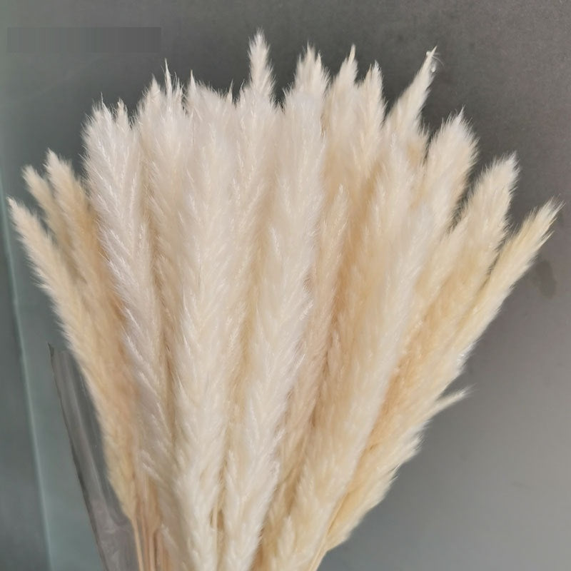7stems 18inch dried pampas grass wedding home decor leaves ,dried botanical,Dried pampas grass flower arrangement,home decor