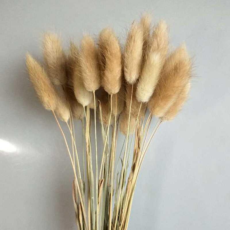 7stems 18inch dried pampas grass wedding home decor leaves ,dried botanical,Dried pampas grass flower arrangement,home decor
