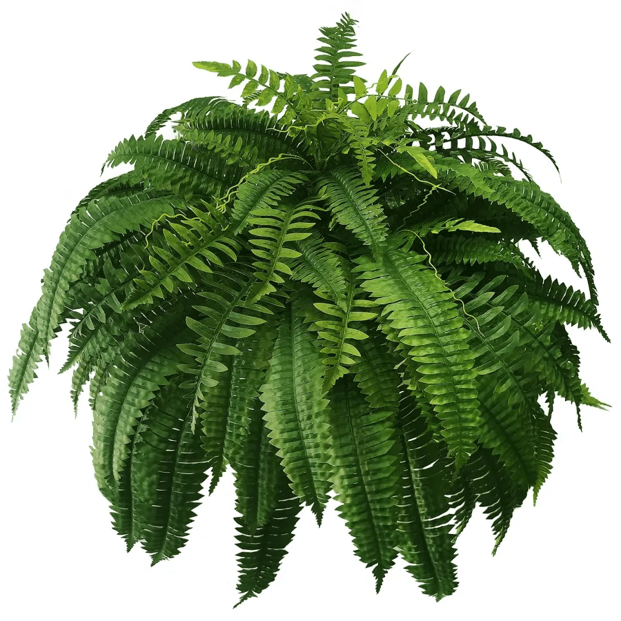 Last Day 75% OFF--UV Resistant Lifelike Artificial Boston Fern🍀