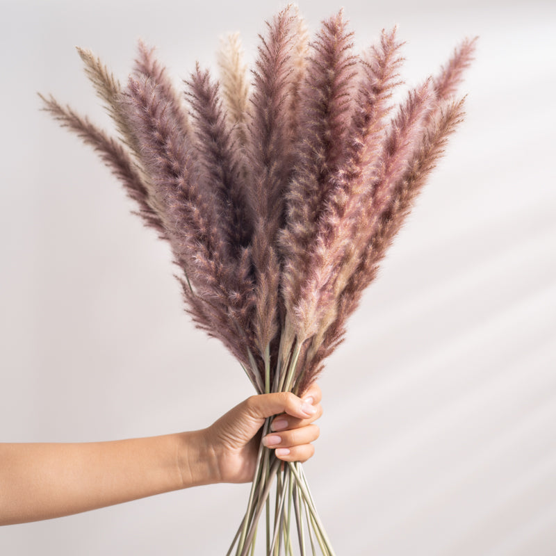 7stems 18inch dried wedding pampas grass decoration ,dried botanical,Dried pampas grass flower arrangement,home decor