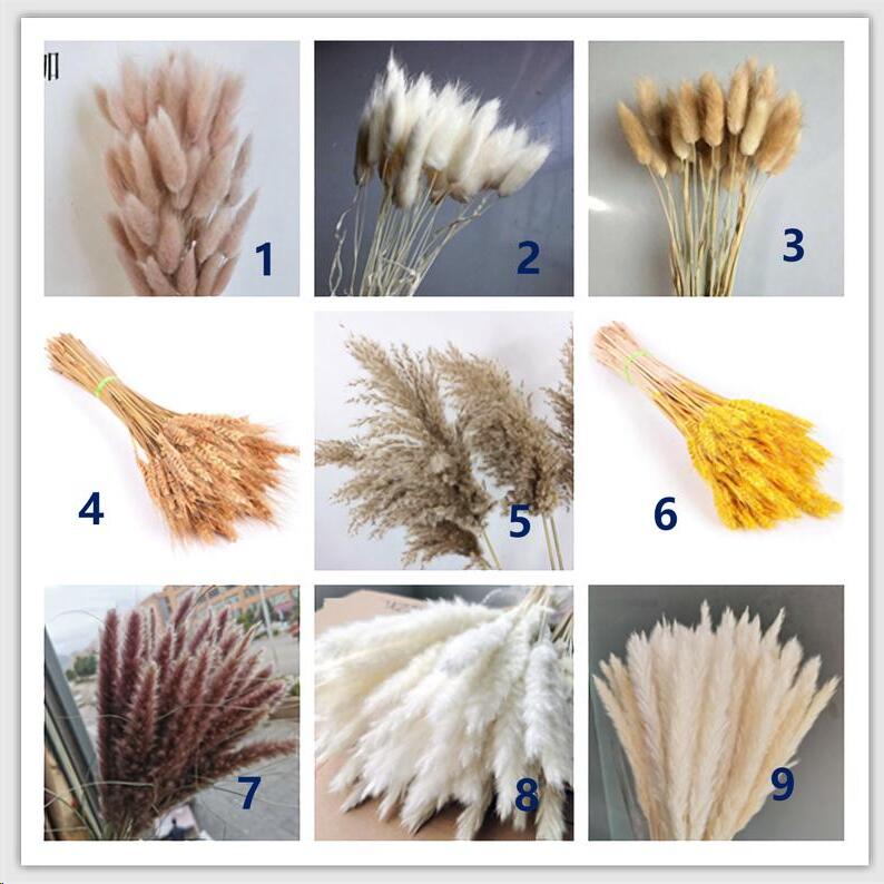 7stems 18inch dried pampas grass wedding home decor leaves ,dried botanical,Dried pampas grass flower arrangement,home decor