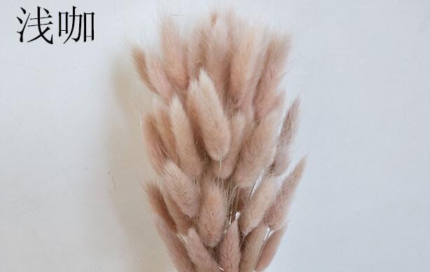 7stems 18inch dried pampas grass wedding home decor leaves ,dried botanical,Dried pampas grass flower arrangement,home decor